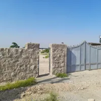 زمین شتر مرغ گاوداری گلخانه سوارکاری باغ پاکدشت|فروش دفتر صنعتی، کشاورزی، تجاری|پاکدشت, |دیوار