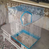 قفس پرنده....