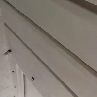 گچکاری|خدمات پیشه و مهارت|سبزوار, شرق کال جنوبی (شمس آبادی)|دیوار