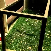 نیمکت قهوه خانه