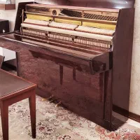 کوک پیانو|پیانو، کیبورد، آکاردئون|مشهد, نیروی هوایی|دیوار