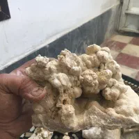 سنگ مخصوص پلنت اکواریوم