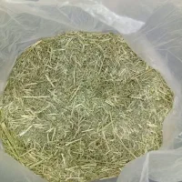 یونجه تازه و مرغوب مناسب خرگوش وجوندگان