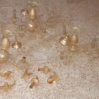 لوستر طلایی|لوستر و چراغ آویز|بندر انزلی, کارآموزی|دیوار