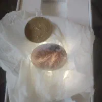 سنگ شجر تک درخت
