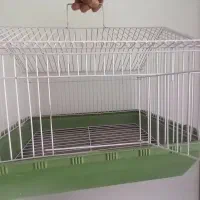 قفس