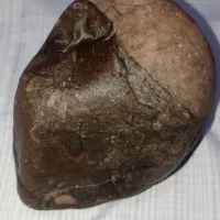 وسایل شخصی|جواهرات|شیراز, سلطان آباد|دیوار