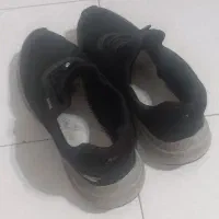 کفش ورزشی skechers|کیف، کفش، کمربند|تهران, زرکش|دیوار