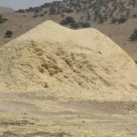 کاه ۳۰تن به فروش میرود کاه دیم  طلا