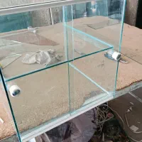 دکه فلافلی، سلف سرویس|فروشگاه و مغازه|لیکک, |دیوار