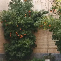 فروش آپارتمان مسکونی