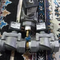 شیربرقی  اسکا