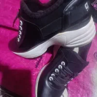 کفش..اسپرت..|کیف، کفش، کمربند|بندرعباس, |دیوار