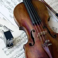 آموزش خصوصی ویلون در منزل شماـ اصولی و کاربردی