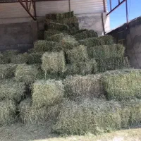 فروش علوفه بسته بندی شده