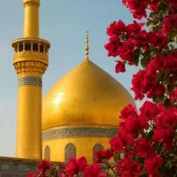 زیارت امام هشتم، حضرت علی بن موسی‌الرضا (ع)