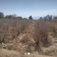 1700متر-زمین-کشاورزی