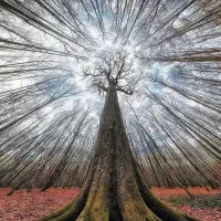 واگذاری کترینگ فعال در پونک