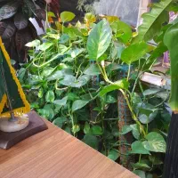 آگهی استخدام