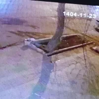 کارباغ بیل زدن سم پاشی