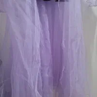 لباس مجلسی|لباس|قم, شاه سید علی|دیوار