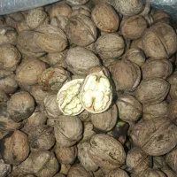گردو درجه یک