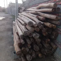 فروش چوب درخت