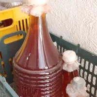 فروش آبغوره