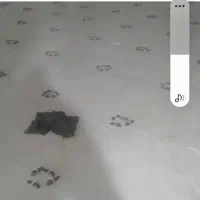 کاشی‌کاری|خدمات پیشه و مهارت|قره پشتلو, |دیوار