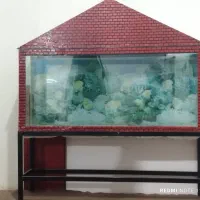 آکواریوم ماهی