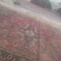 فرش|فرش|قم, نیروگاه|دیوار