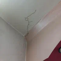 موریانه‌زدایی و سم‌پاشی جانوران‌ موذی (تضمینی)|خدمات نظافت|دزفول, |دیوار