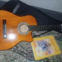 گیتار دیاموند