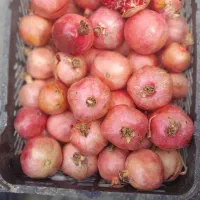 انار ترش