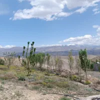 شهرک تماشا زمین باغی