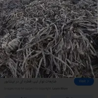 خرید شلنگ قطرهای