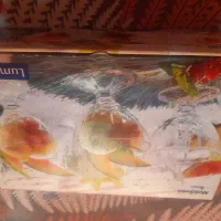 بستنی خوری لومینارک نو با جعبه