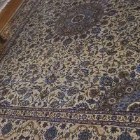 فروش فرش دست بافت عتیقه|فرش|یزد, |دیوار