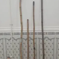 خیزران|ابزارآلات|باوی, |دیوار