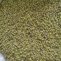 حبوبات تازه|خوردنی و آشامیدنی|اقبالیه, |دیوار