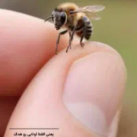 عسل طبیعی سبزکوه بختیاری