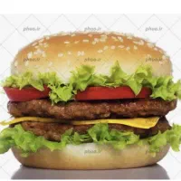 استخدام نیرو