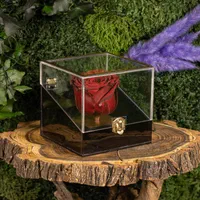 باکس و جعبه گل رز جاودان هدیه تولد و کادو|گل و گیاه طبیعی|تهران, دولاب|دیوار