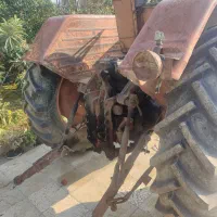 تراکتور رومانی|خودرو سنگین|گرگان, |دیوار