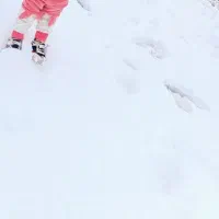 موتور احسان