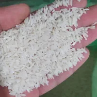 برنج سرلاشه مینودشت|خوردنی و آشامیدنی|سبزوار, هویزه|دیوار