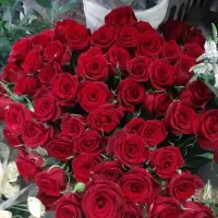 دامداری.دامپروری