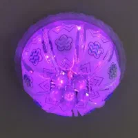 لوستر وچراغ سقفی