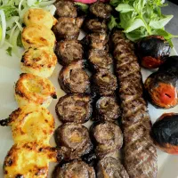 ااستخدام نیروی سالندار