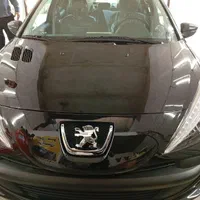 پولیش سرامیک لیسه نقاشی و...|خدمات موتور و ماشین|خرمآباد, |دیوار